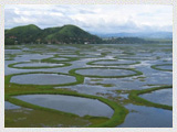 Loktak Lake 